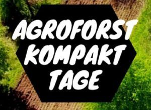 Mehr über den Artikel erfahren Agroforst Seminar 06/07 Juli