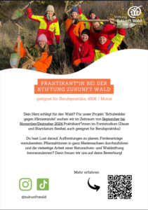 Read more about the article Ausschreibung Berufspraktikum Stiftung Zukunft Wald