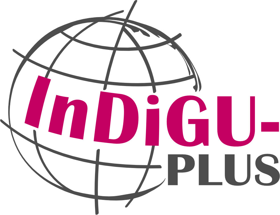 Read more about the article InDiGU-PLUS: All FIT Events in WiSe 2024/25