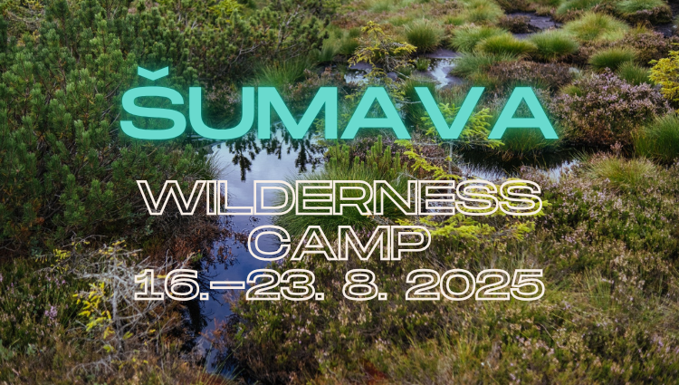 Du betrachtest gerade CALL FOR PARTICIPANTS: Bohemian Forest National Park Summer Camp