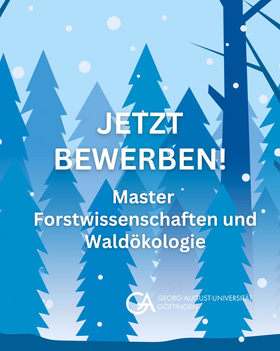 Du betrachtest gerade Bewerbungsfrist für MSc Forstwissenschaften und Waldökologie zum Sommersemester 2026